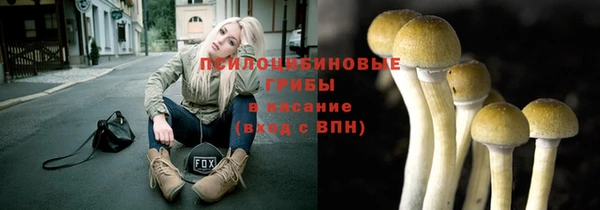 ECSTASY Беломорск
